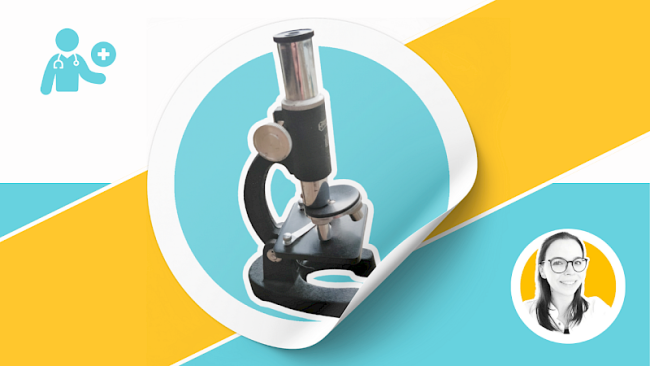 Physik: Top-Themen & Stichpunktliste