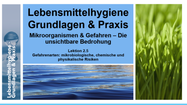Lektion 2.5: Gefahrenarten: mikrobiologische, chemische und physikalische Risiken