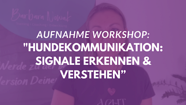 Hundekommunikation: Signale erkennen & verstehen