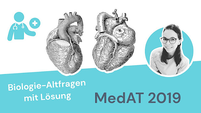 Altfragen Biologie 2019