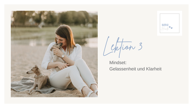 Lektion 3: Mindset: Gelassenheit und Klarheit