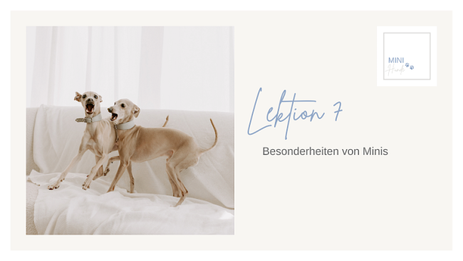 Lektion 7: Besonderheiten von Minis