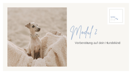 Modul 2: Vorbereitung auf dein Hundekind