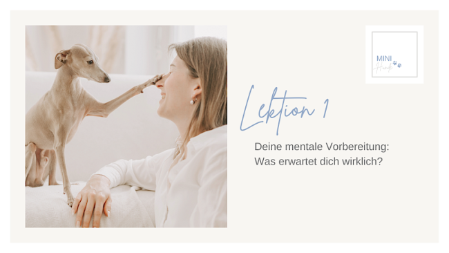 Lektion 1: Deine mentale Vorbereitung: Was erwartet dich wirklich?