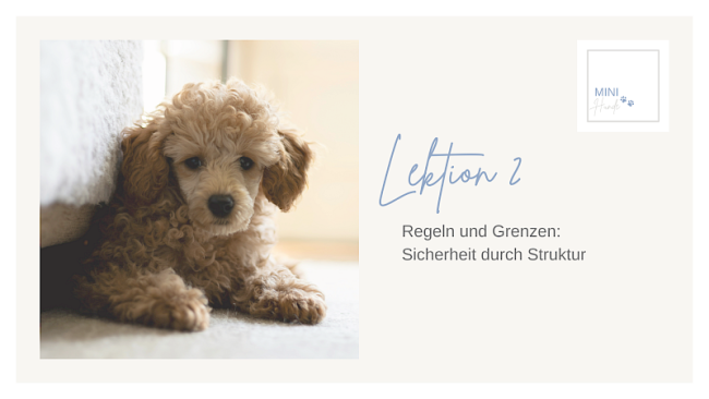 Lektion 2: Regeln und Grenzen: Sicherheit durch Struktur