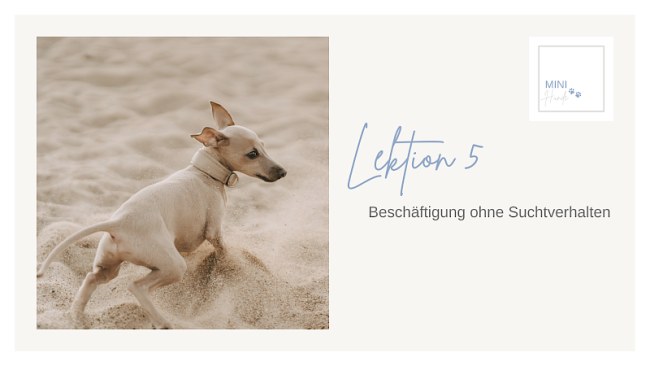 Lektion 5: Beschäftigung ohne Suchtverhalten