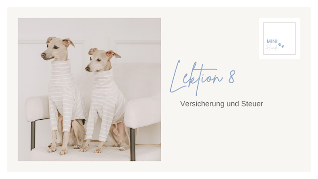 Lektion 8: Versicherung und Steuer