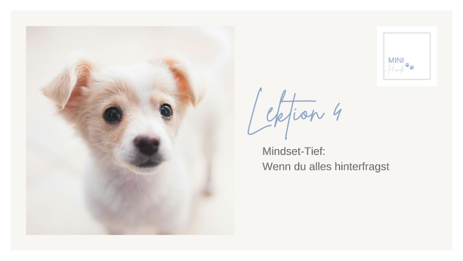 Lektion 4: Mindset-Tief: Wenn du alles hinterfragst