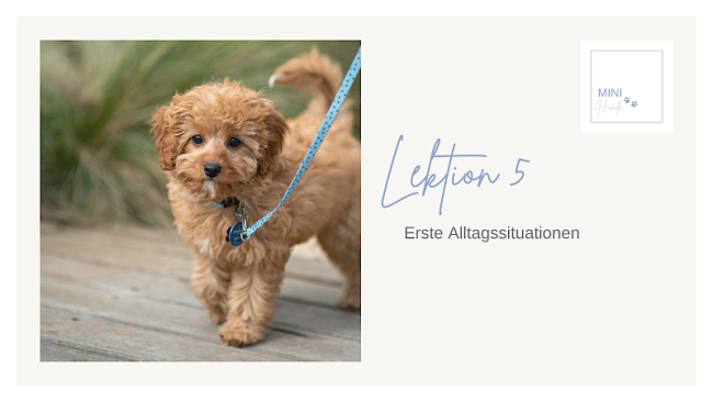 Lektion 5: Erste Alltagssituationen
