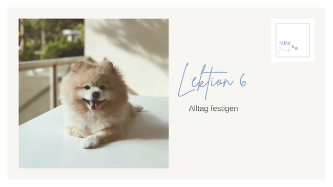 Lektion 6: Alltag festigen