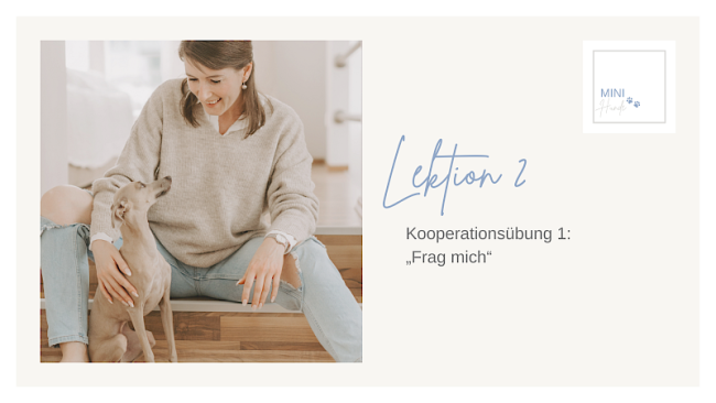 Lektion 2: Kooperationsübung 1: "Frag mich"