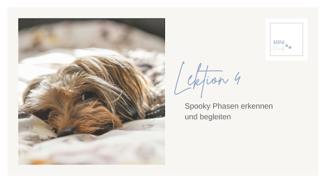 Lektion 4: Spooky Phasen erkennen und begleiten