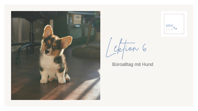 Lektion 6: Büroalltag mit Hund