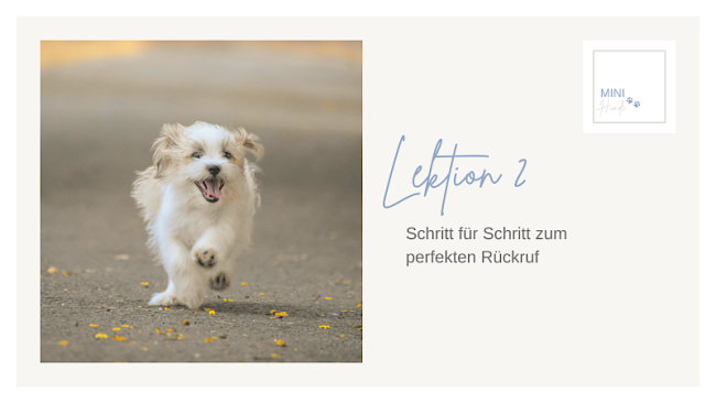 Lektion 2: Schritt für Schritt zum perfekten Rückruf