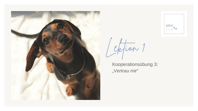Lektion 1: Kooperationsübung 3: "Vertrau mir"