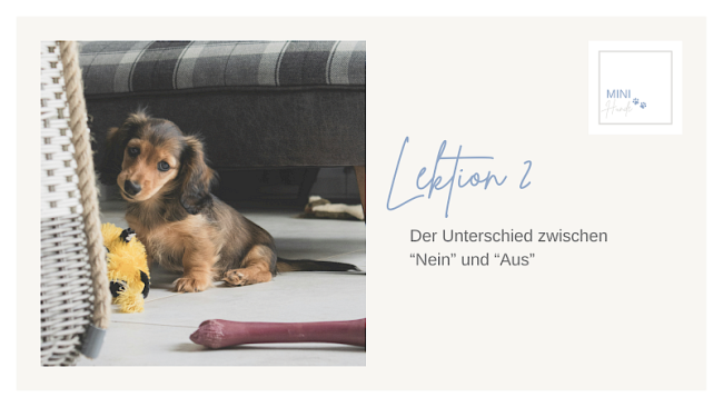 Lektion 2: Der Unterschied zwischen "Nein" und "Aus"