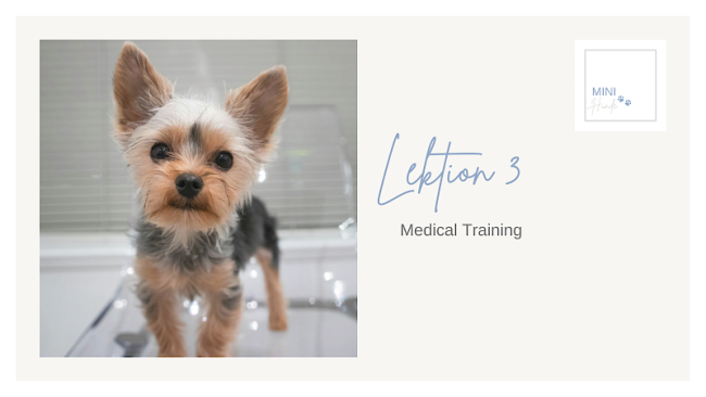 Lektion 3: Medical Training