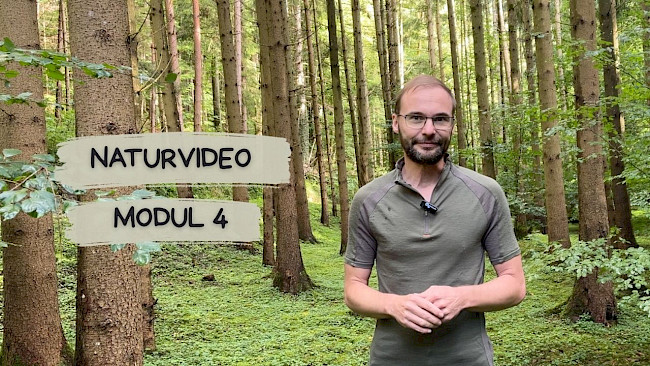 Natur-Video