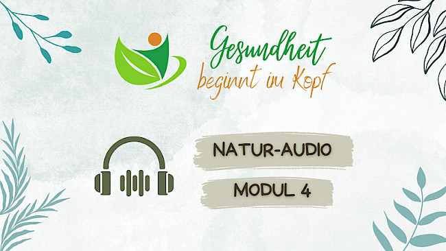 Natur-Audio
