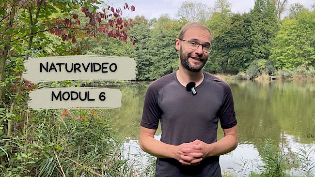 Natur-Video