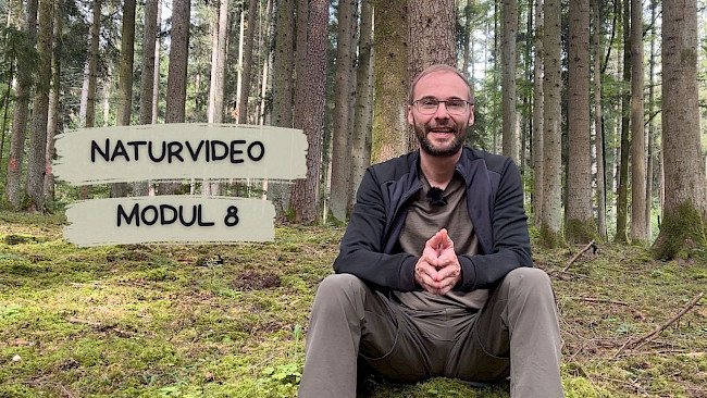 Natur-Video
