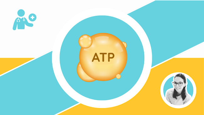 Atmungskette und ATP-Synthese