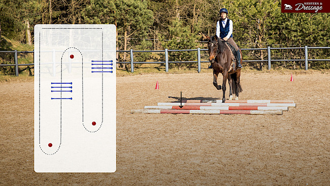 Nr. 7 Schritt-Stangen & Bögen