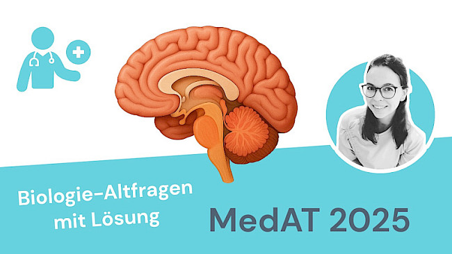 Altfragen Biologie 2025