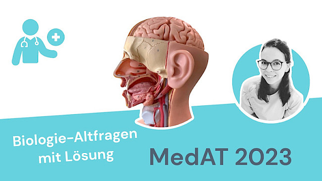 Altfragen Biologie 2023