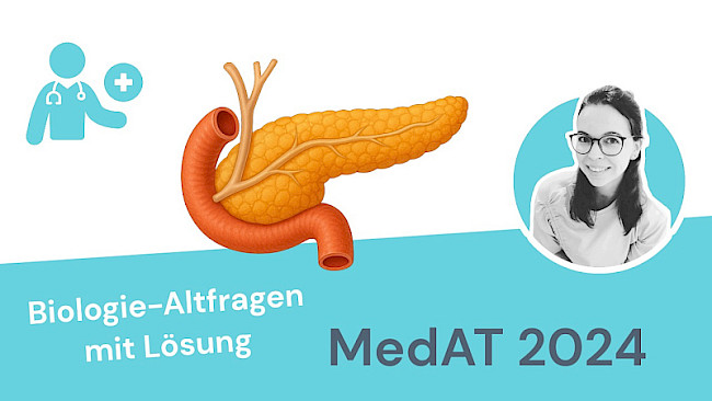 Altfragen Biologie 2024