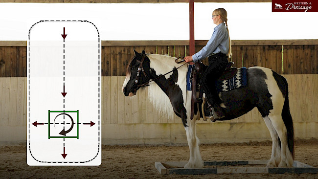 Nr. 13 Mittelhandwendung in der Box