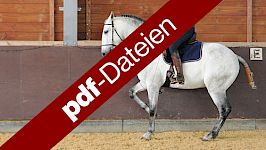 Anhalten, Wendungen & Rückw. (pdfs)