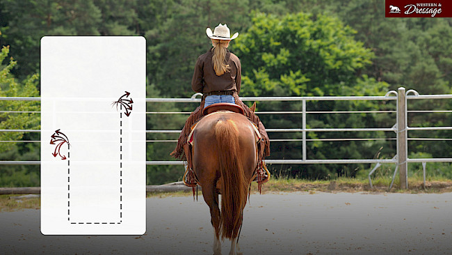 Nr. 15 Vor- und Hinterhandwendung