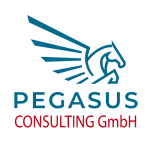 Pegasus Ausbildung