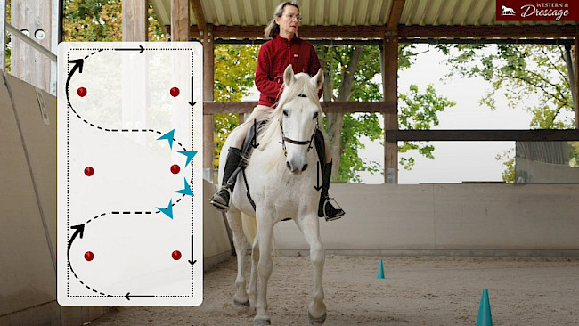 Nr. 21 Schlangenlinien Außenstellung