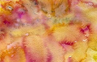 Liver Balance - Balance für die Leber