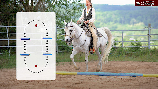 Nr. 25 Trab-Schritt-Trab: Stangen und Bögen