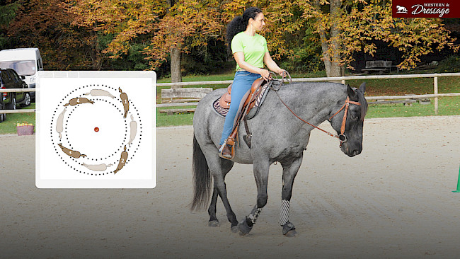 Nr. 33 Reiten auf zwei Hufschlägen - direkte Stellung