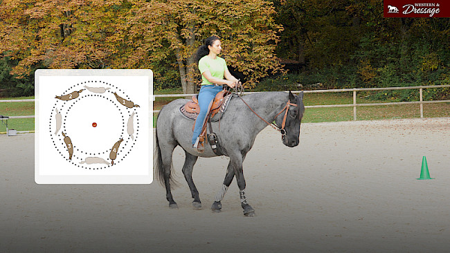 Nr. 34 Reiten auf zwei Hufschlägen - indirekte Stellung