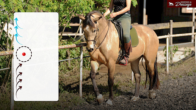 Nr. 39 Schulterherein Volte Travers