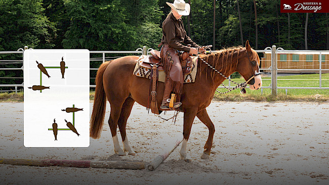 Nr. 41 Schenkelweichen an zwei Stangen