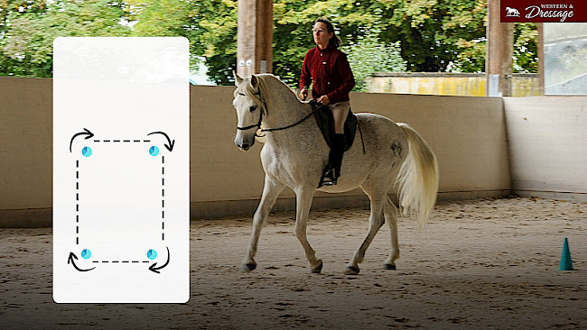 Nr. 47 Galopp-Schritt-Galopp am Rechteck