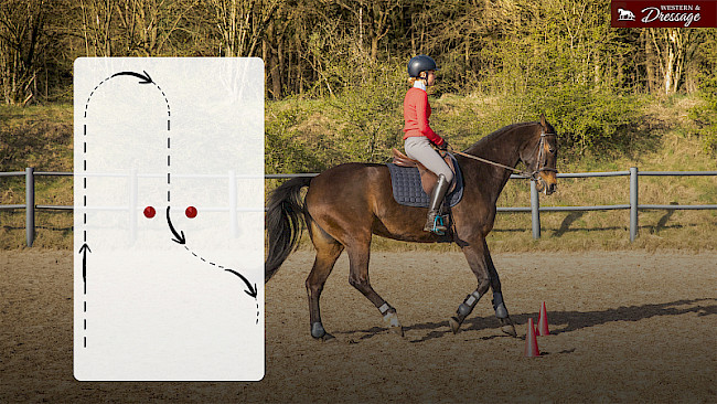 Nr. 50 Vorbereitung Außengalopp