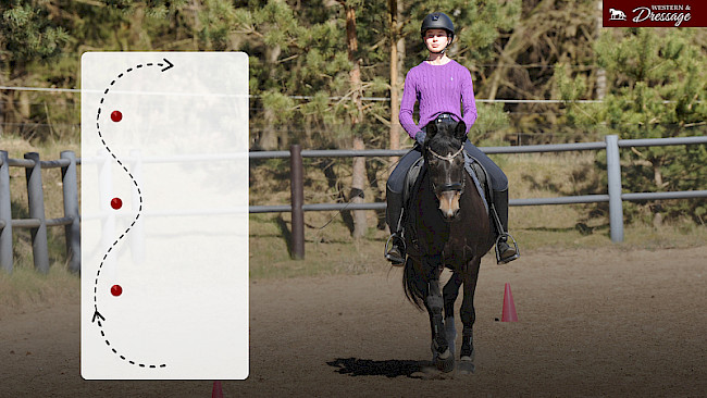 Nr. 51 Galopp-Serpentine