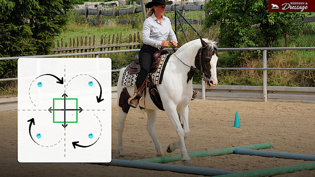 Nr. 53 Boxen-Kleeblatt Galopp