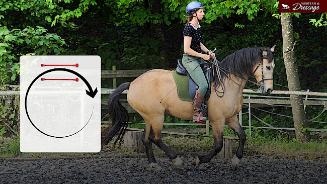 Nr. 43 Galoppzirkel zulegen & zurückführen