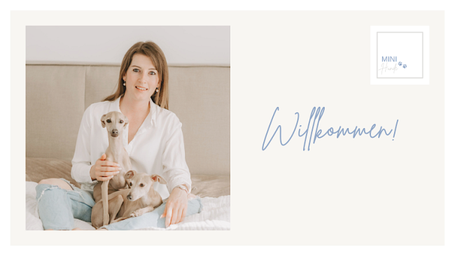 Einführung in den Welpenkurs