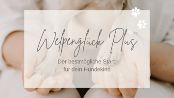 Welpenglück PLUS