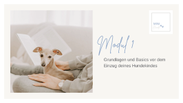 Modul 1: Grundlagen und Basics vor dem Einzug deines Hundekindes