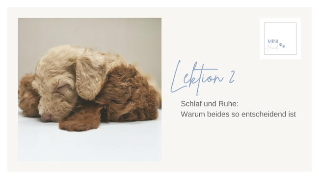 Lektion 2: Schlaf und Ruhe: Warum beides so entscheidend ist